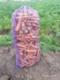 Бронирование раннего урожая картошки и м