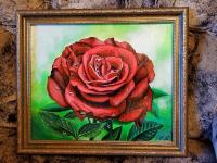 Картина "Красная роза", 25х30