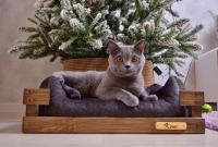 Именная лежанка для кошек и собак мелких